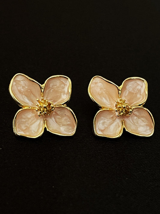 E2 rosa